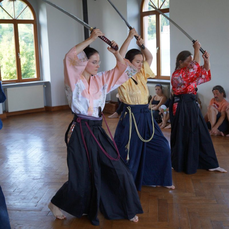 Iaido Schwert Frauenpower