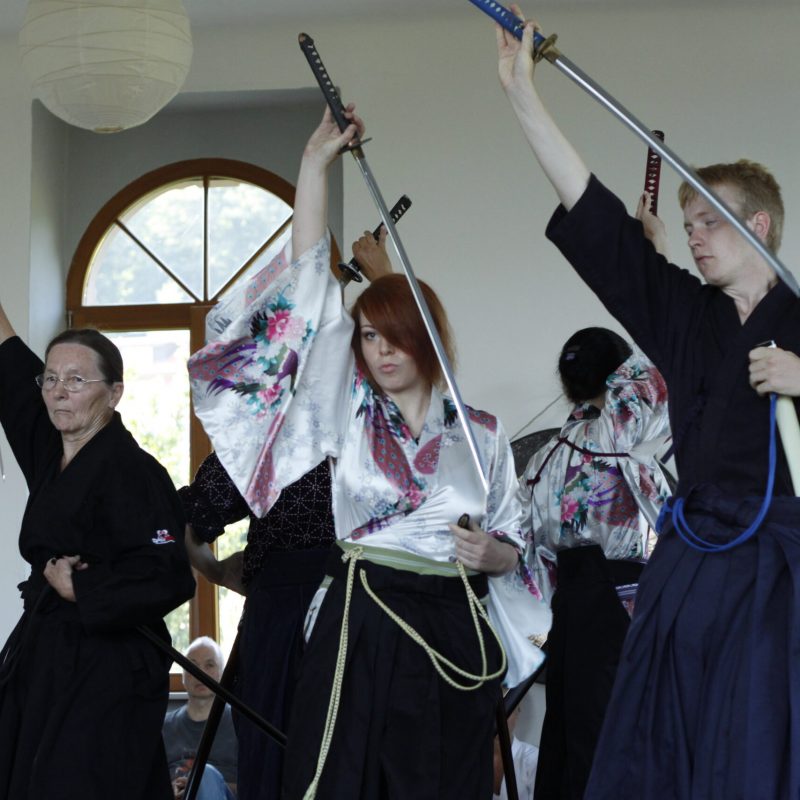 Iaido Schwertkampfkunst